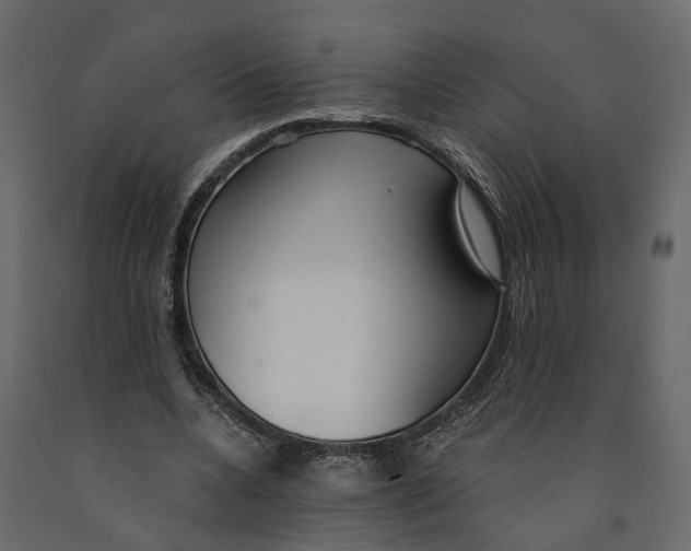 X0000090920536200708271026