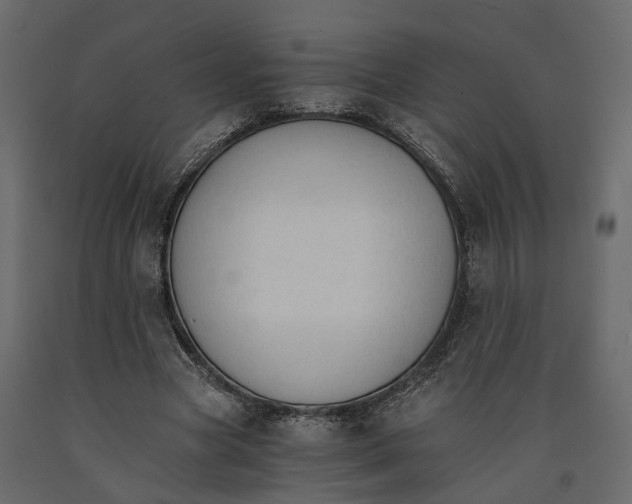 X0000090920537200708271026