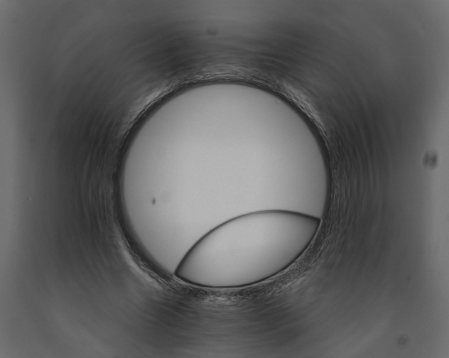 X0000090920538200708271026