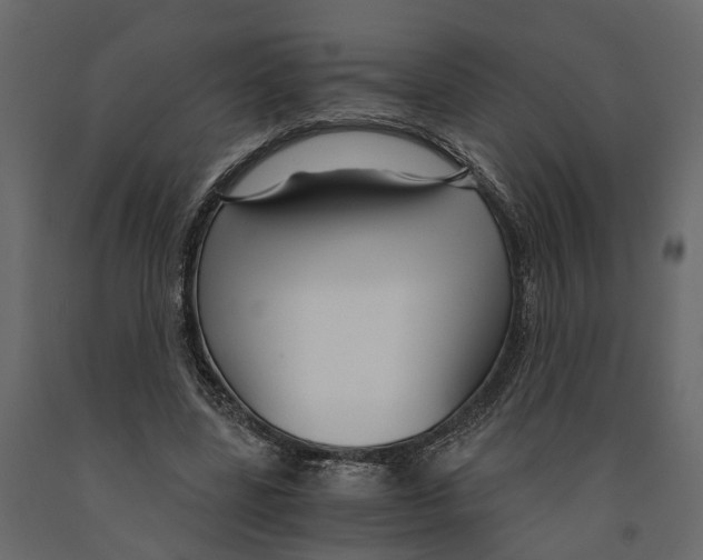 X0000090920539200708271026