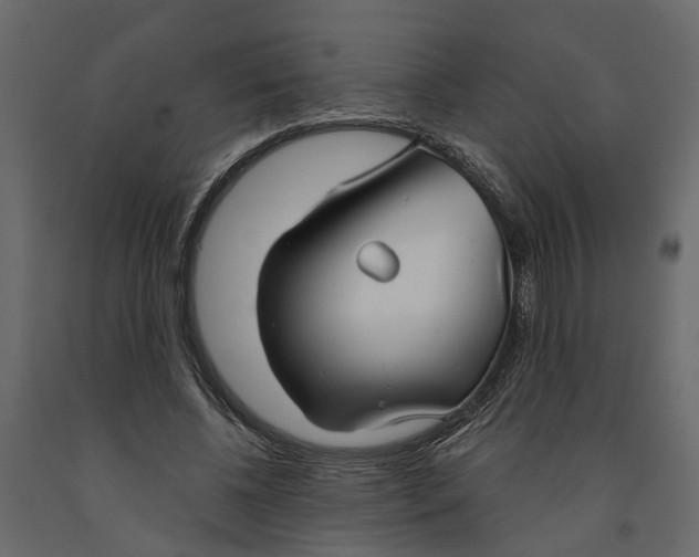 X0000090920540200708271026