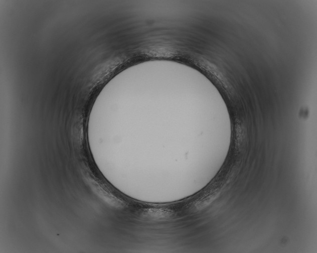 X0000090920541200708271026