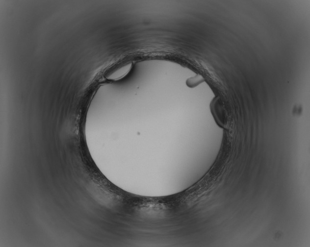 X0000090920543200708271026