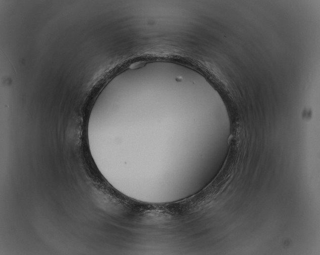 X0000090920544200708271026