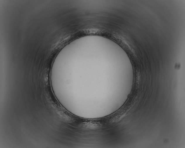 X0000090920545200708271026