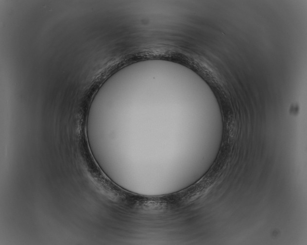 X0000090920546200708271026