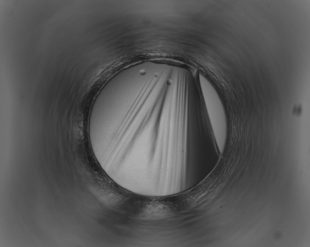 X0000090920547200708271026