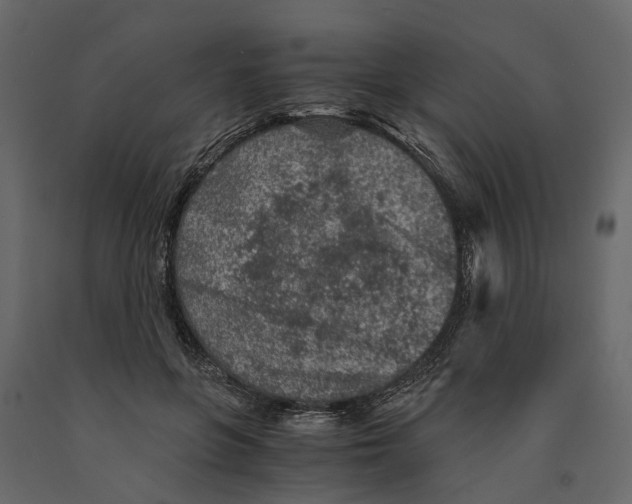 X0000090920551200708271026