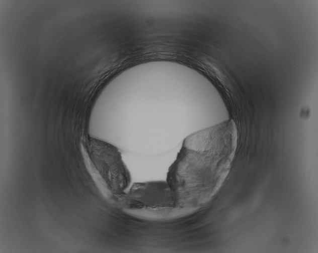 X0000090920553200708271026