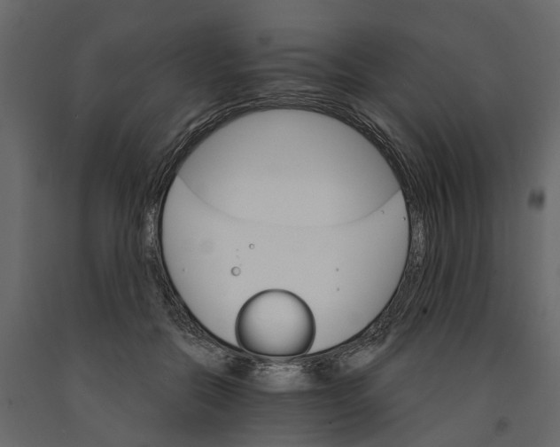 X0000090920554200708271026