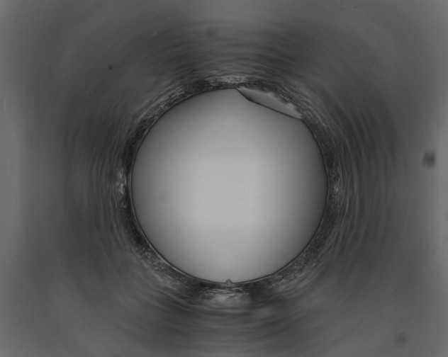 X0000090920555200708271026