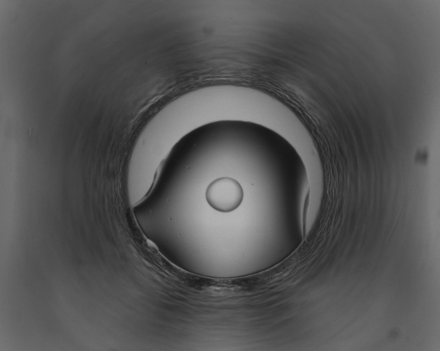 X0000090920556200708271026