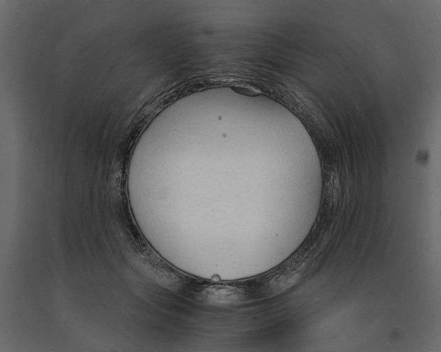 X0000090920557200708271026