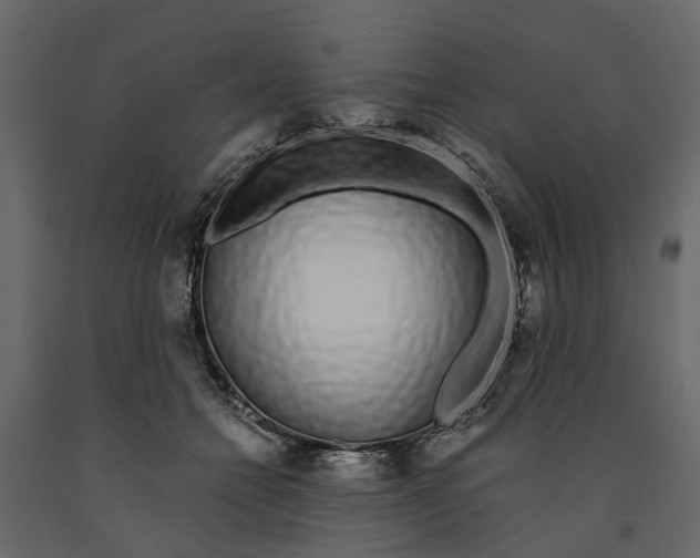 X0000090920558200708271026