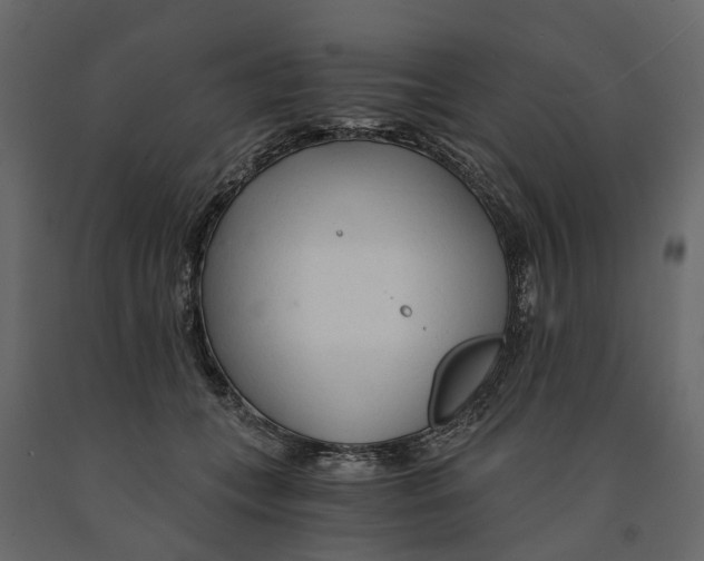 X0000090920559200708271026