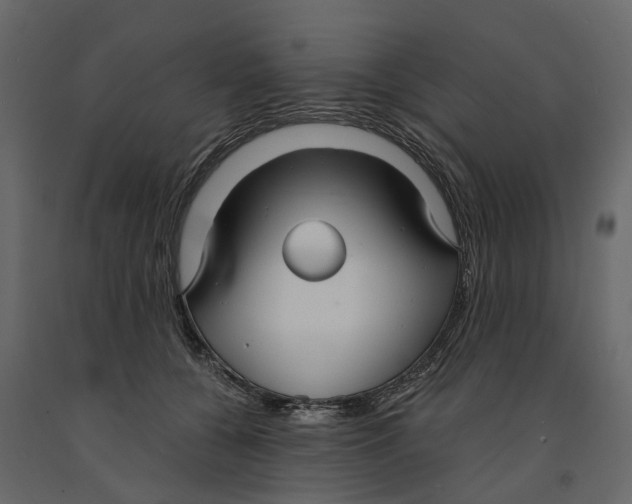 X0000090920560200708271026