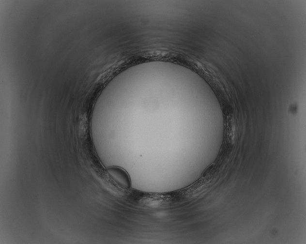 X0000090920563200708271026