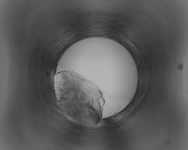 X0000090920565200708271026