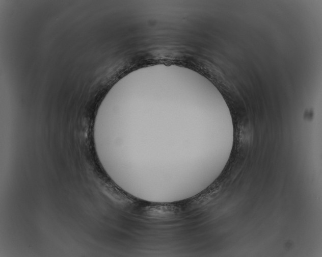 X0000090920567200708271027