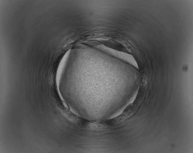 X0000090920568200708271027