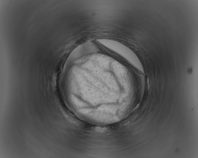 X0000090920570200708271027