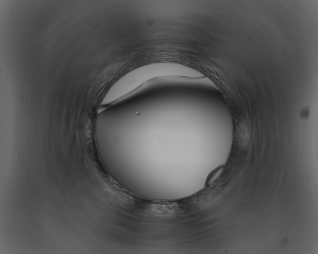 X0000090920571200708271027