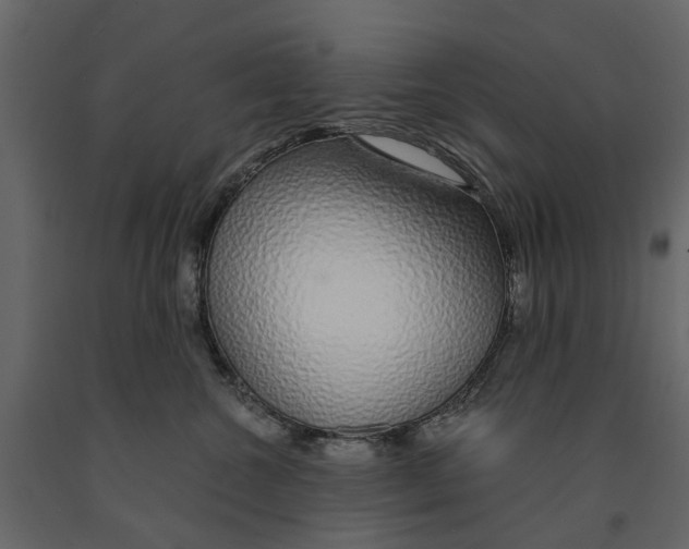 X0000090920572200708271027