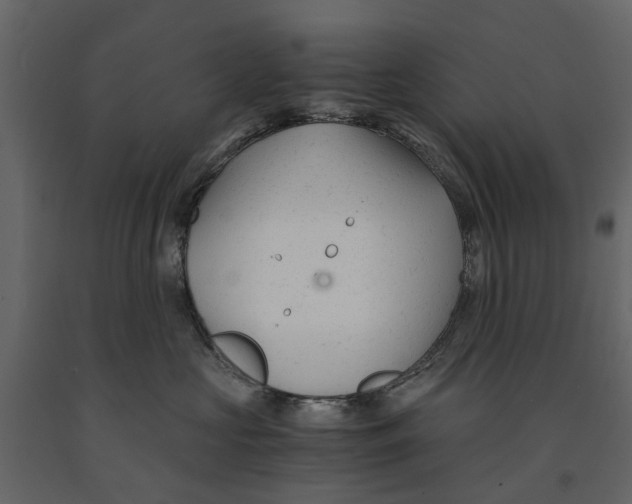 X0000090920573200708271027