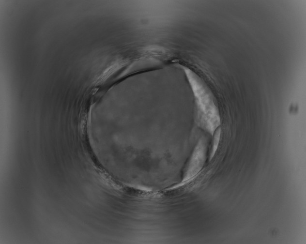 X0000090920576200708271027