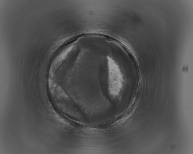 X0000090920577200708271026