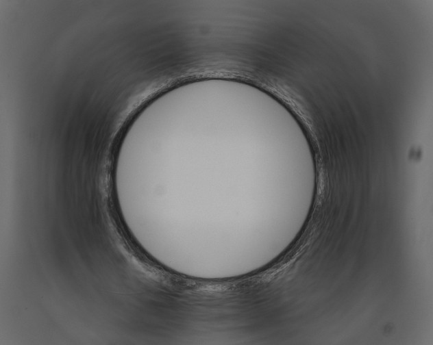 X0000090920578200708271026