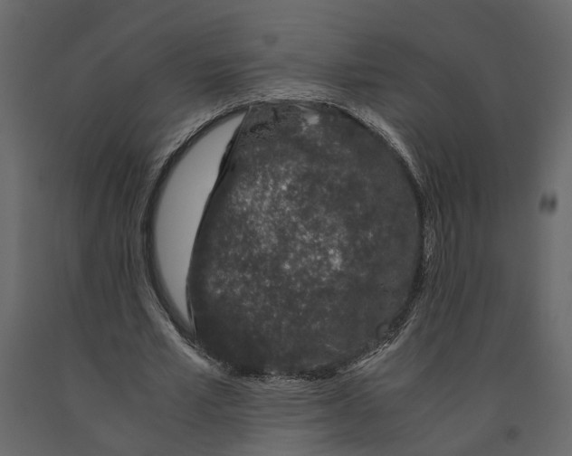 X0000090920581200708271026