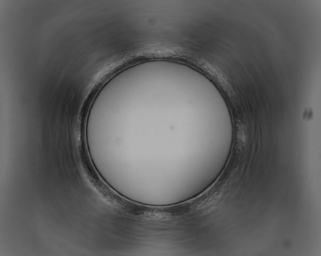 X0000090920582200708271026