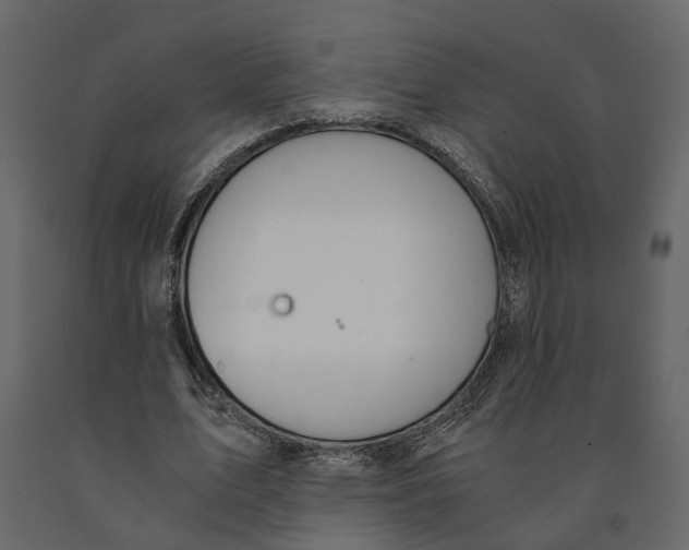 X0000090920583200708271026