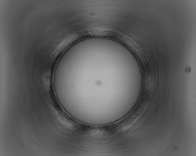 X0000090920586200708271026