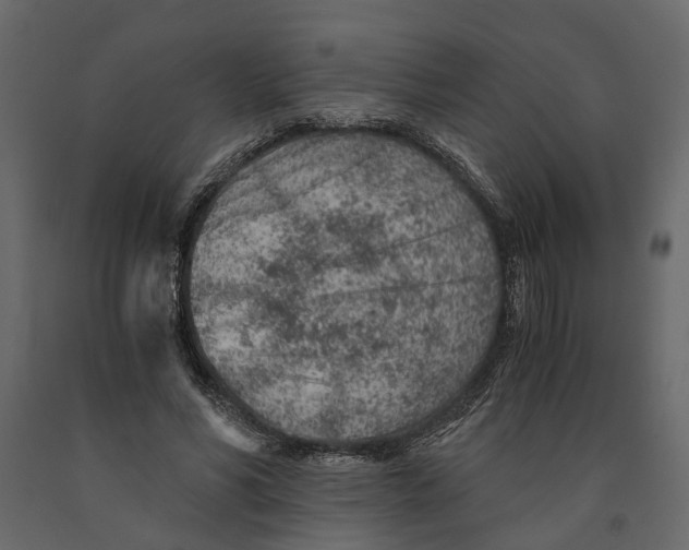 X0000090920590200708271026