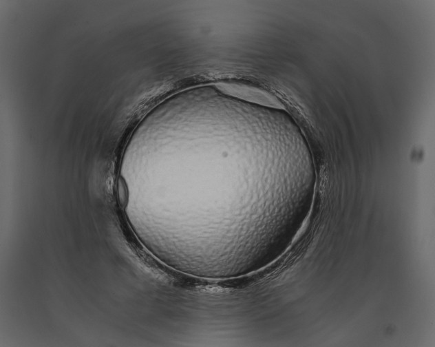 X0000090920593200708271026