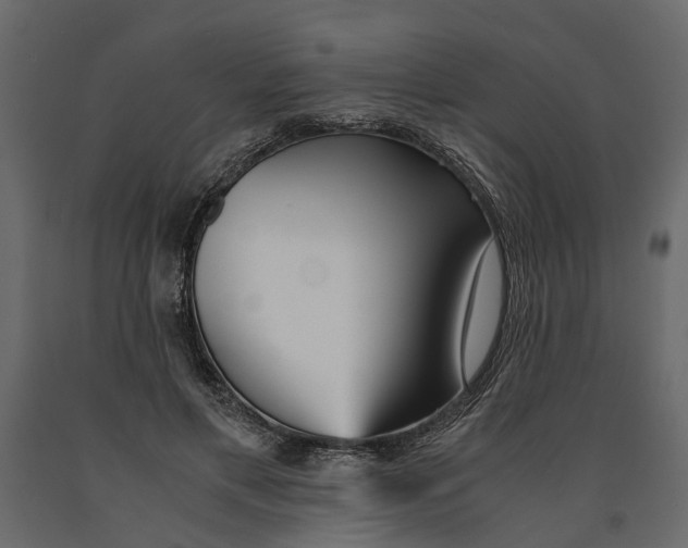 X0000090920597200708271026