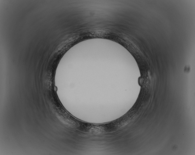 X0000090920599200708271026