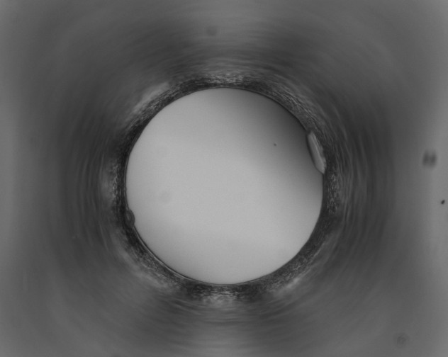 X0000090920600200708271026