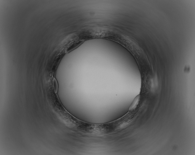 X0000090920601200708271026