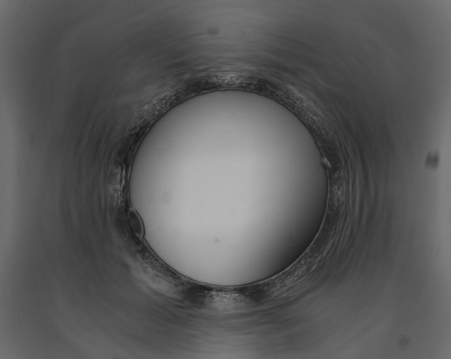 X0000090920605200708271026