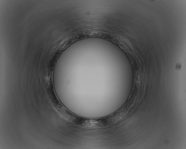 X0000090920607200708271026