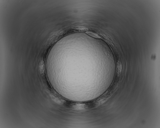 X0000090920609200708271026