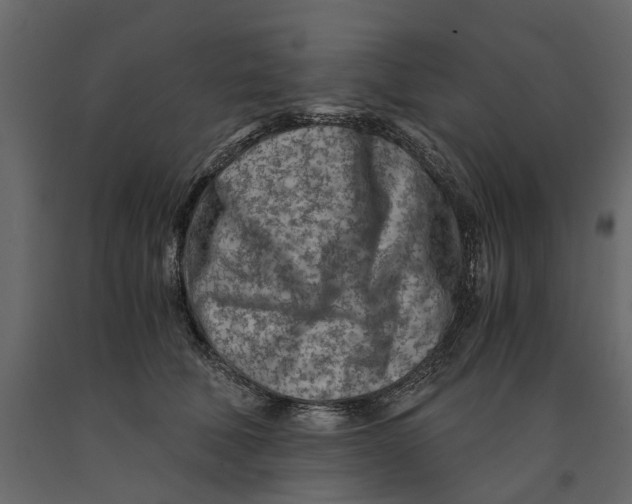 X0000090920610200708271026