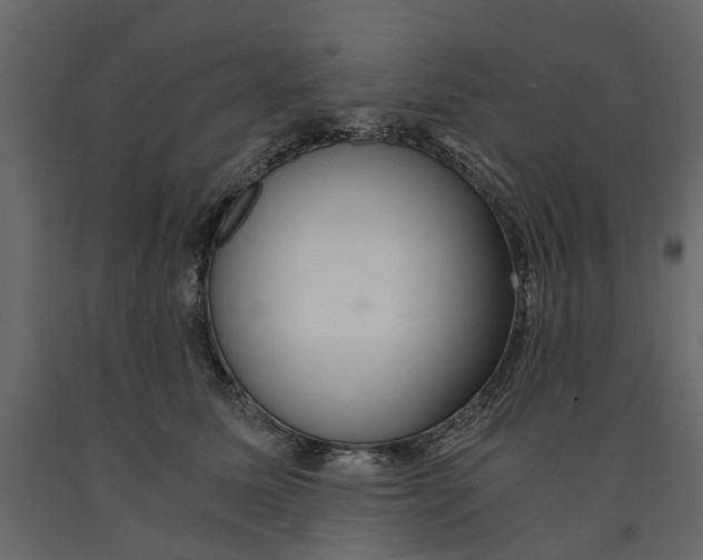 X0000090920611200708271026