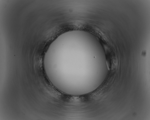 X0000090920613200708271026