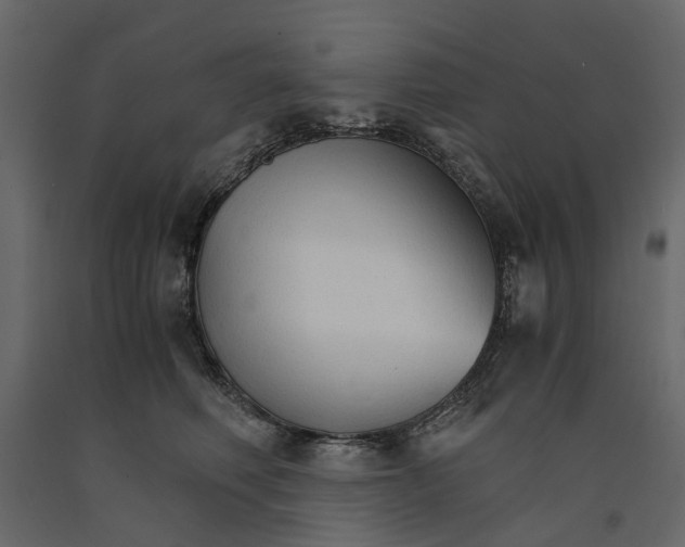 X0000090920614200708271026