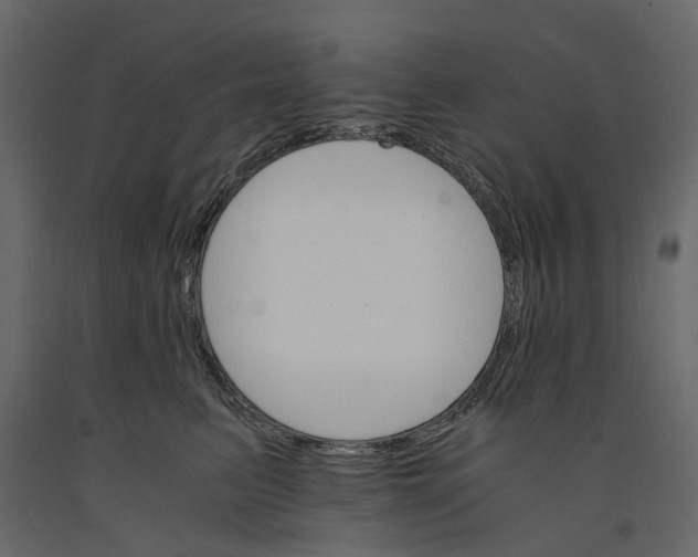 X0000090920615200708271026