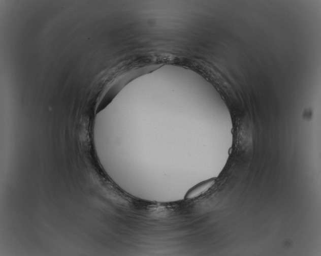 X0000090920616200708271026